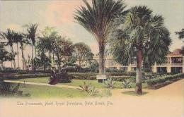 Florida Palm Beach Hotel Royal Poinciana The Promenade Rotograph - Palm Beach