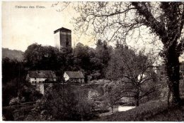 SUISSE  -  CHATEAU DE CLEES - Les Clées