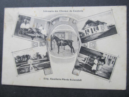 AK AARAU Informerie Des Chevaux De Cavalerie Pferd Kuranstalt Feldpost 1913   /////  D*12128 - Aarau