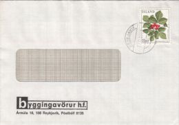 STONE BRAMBLE, STAMPS ON COVER, 1985, ICELAND - Covers & Documents