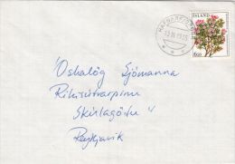 FLOWERS, STAMPS ON COVER, 1985, ICELAND - Storia Postale