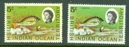 British Indian Ocean Territory (BIOT): 1968/70   Marine Life   SG16    5c  [shades]    MNH (x2) - Territoire Britannique De L'Océan Indien