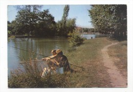 Vigneux-sur-Seine. Le Lac. - Vigneux Sur Seine