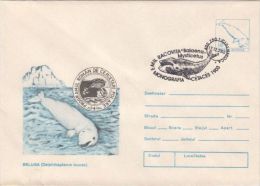 WHALES, BELUGA, WHITE WHALE, COVER STATIONERY, ENTIER POSTAL, 2003, ROMANIA - Whales