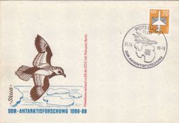 SKUA SEAGULL, PLANE, ANTARCTICA, SPECIAL COVER, 1986, GERMANY - Antarctic Wildlife