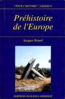 Préhistoire De L'Europe : Des Origines à L'age Du Fer Par Jacques Briard (ISBN 2877472779 EAN 9782877472777) - Archéologie