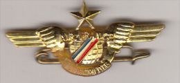 Insigne En Plastique - Air France - Future Pilote - Badges D'équipage