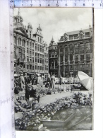 CP BELGIQUE - BRUXELLES - Grand'Place, Le Marché Aux Fleurs - Markten