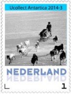 Nederland 2014-1  Ucollect Antartica  Sledehond  Postfris/mnh - Nuevos