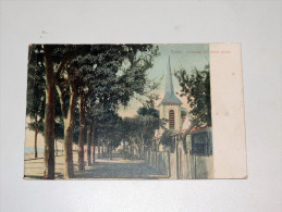 Carte Postale Ancienne : SUEZ : Avenue Du Terre Plein - Sues