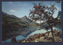 Loch Leven Rowan Time At Loch Leven Ecosse - Kinross-shire