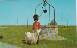 Québec Citadel Citadelle - Royal 22 Regiment Military - Mascot Goat Batisse Baptist - Unused - VG Condition - Québec - La Citadelle