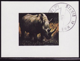 Umm Al Qiwain Rhinoceros Gold Missing ERROR CTO (fa002) - Rhinoceros
