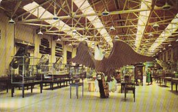 Main Room Of The Mariners Museum Newport News Virginia - Newport News