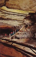 Saltpetre Vats And Booths Amphitheatre In Mammoth Cave Mammoth Cave National Park Kentucky - Mammoth Cave