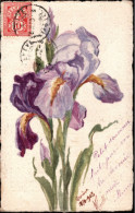 ! Unikat 1903 Old Postcard Handpainted , Switzerland , Geneve Flower, Blumenmotiv Iris, Handgemalt - Andere & Zonder Classificatie