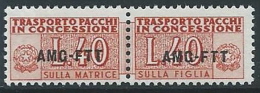 1953 TRIESTE A PACCHI IN CONCESSIONE 40 LIRE MNH ** - ED058 - Postpaketen/concessie