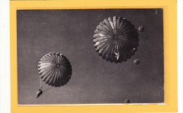 SPORTS / PARACHUTISME / Carte Photo De Parachutiste Descente En Groupe - Paracaidismo