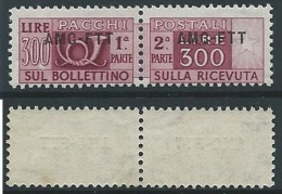 1949-53 TRIESTE A PACCHI POSTALI 300 LIRE MNH ** - ED081-2 - Colis Postaux/concession