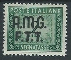 1947-49 TRIESTE A SEGNATASSE 2 LIRE MH * - ED084-2 - Taxe