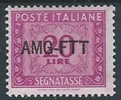 1949-54 TRIESTE A SEGNATASSE 20 LIRE MH * - ED092 - Segnatasse