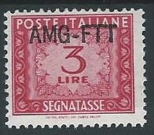 1949-54 TRIESTE A SEGNATASSE 3 LIRE MH * - ED096-8 - Taxe