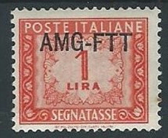 1949-54 TRIESTE A SEGNATASSE 1 LIRA MH * - ED097-4 - Strafport