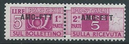 1949-53 TRIESTE A PACCHI POSTALI 5 LIRE MNH ** - ED102-3 - Postpaketen/concessie