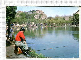 GROSLAY  -  Le LAC  MARCHAIS  - Pêcheurs   à La Ligne - Concours De Pêche - Groslay