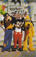 Florida Orlando Goofy Mickey And Pluto Pose Walt Disney World Disneyana - Orlando