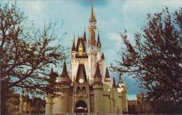 Florida Orlando Cinderella Castle Fantasyland Walt Disney World Disenyana - Orlando