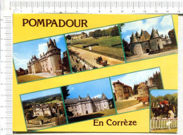 POMPADOUR  En CORREZE    - Le Château Et L Hippodrome -  7  Vues - Arnac Pompadour