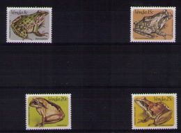 VENDA Frogs - Kikkers