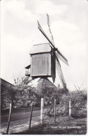 Gansakker Bij Geel MOLEN L794 - Geel