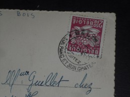 LETTRE BELGIQUE AVEC YT 767 - CACHET ROND MANUEL BELOEIL SON PARC SON CHATEAU - AGRICULTURE EXPORTATIONS - CPA PARC - - Covers & Documents