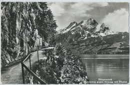 Bürgenstock - Felsenweg Gegen Honegg Und Pilatus - Autres & Non Classés