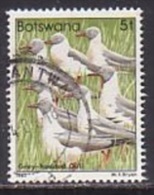 Botswana  303 , O  (D 1649) - Botswana (1966-...)