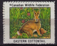 RABBIT Eastern COTTONTAIL - Canadian Wildlife Federation - Canada - LABEL / CINDERELLA - Lapins