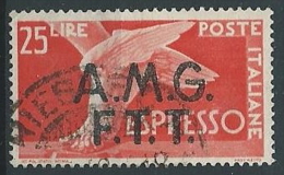 1947-48 TRIESTE A USATO ESPRESSO 25 LIRE - ED142 - Express Mail