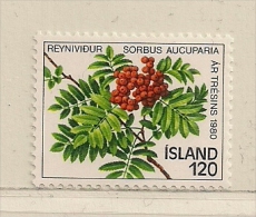 ISLANDE  ( EUIS - 69 )  1980   N° YVERT ET TELLIER  N° 507   N** - Nuevos