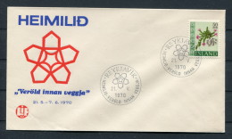 1970 Iceland Reykjavik Cover - Cartas & Documentos