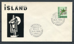 1968 Iceland Reykjavik Stamp Day Cover - Storia Postale