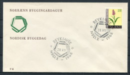 1968 Iceland Reykjavik NBD.X Cover - Storia Postale