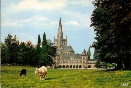 DADIZELE-PANORAMA - Moorslede