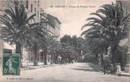 AJACCIO - CORSE  -Avenue Du Premier Consul  - édition A.Guittard N°521 - 2 Scans - Ajaccio