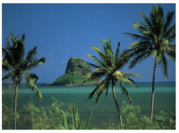 (PH 855) USA - Hawaii Chinaman's Hat Island - Altri & Non Classificati