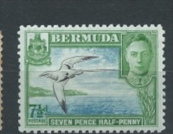 Bermuda-Inseln 1938 Tropikvogel  Mi. -Nr. 109 */Falz - Palmípedos Marinos