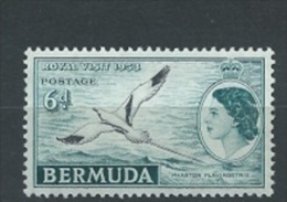 Bermuda-Inseln 1953 Tropikvogel  Mi. -Nr. 148 * - Albatrosse & Sturmvögel