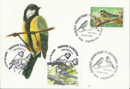 ANDORRA 2014/1996 -UNIQUE  SPECIAL CARD BIRD / OISEAU - TINTIPELLA (CYANISTES CAERULEUS ON CARD OF BIRD OF 1996 FDISSUE - Neufs