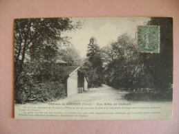 CP CHATEAU DE CHENEY UNE ALLEE DU CHATEAU -ECRITE EN 1919 - Cheny